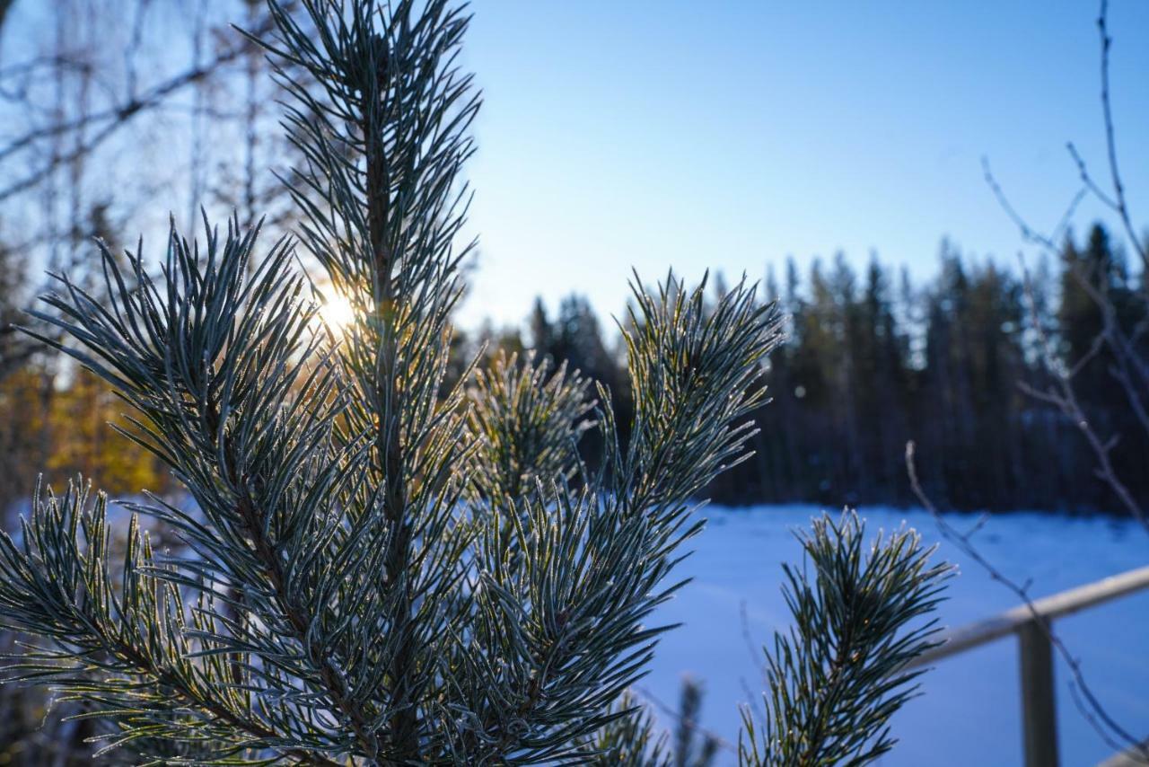 Asarna Skicenter Dış mekan fotoğraf