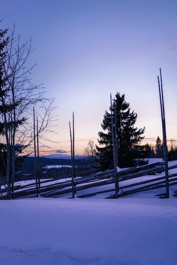 Asarna Skicenter Dış mekan fotoğraf